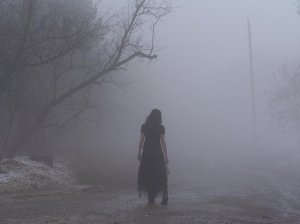 Walking_into_the_Fog_by_Zombie_Pip[1]